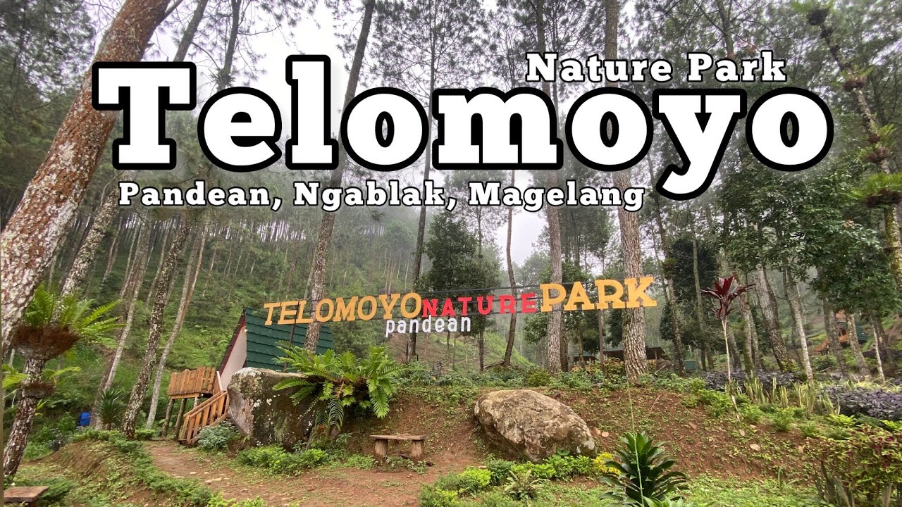 Jelajahi Pesona Alam Telomoyo Nature Park